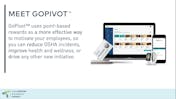GoPivot  video/presentation/materials