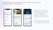 Vida Health video/presentation/materials