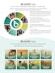 BLOOM video/presentation/materials