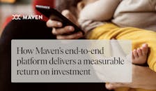 Measure Maven ROI