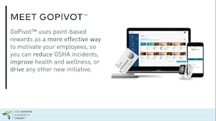 GoPivot  video/presentation/materials