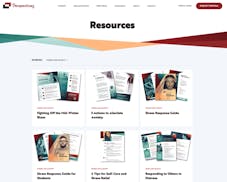 Perspectives Ltd video/presentation/materials