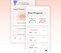 Sleep Reset video/presentation/materials