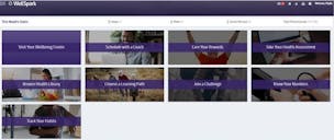 WellSpark Health, Inc. (WellSpark) video/presentation/materials