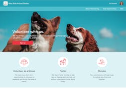 Timecounts video/presentation/materials