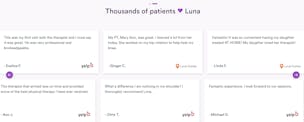 Luna On-Demand Physical Therapy video/presentation/materials
