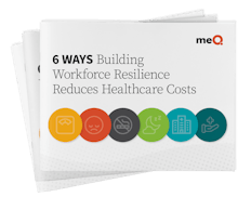 meQ video/presentation/materials