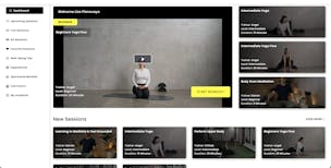 Fairfax Wellness video/presentation/materials