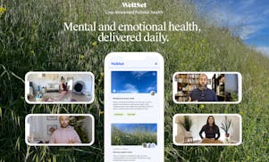 WellSet video/presentation/materials