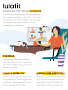 lulafit video/presentation/materials