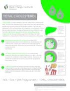 Impact Tactic Solutions video/presentation/materials