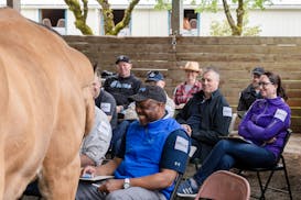 Roam Consulting LLC video/presentation/materials