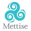 The Mettise Group
