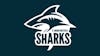 Sheffield Sharks