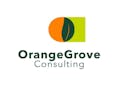 Orange Grove Consulting - Talent Management
