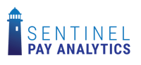 Sentinel Pay Analytics