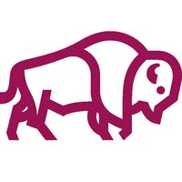 American Life Annuities