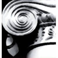 Small & Associates Real Estate