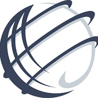 Global Verification Network